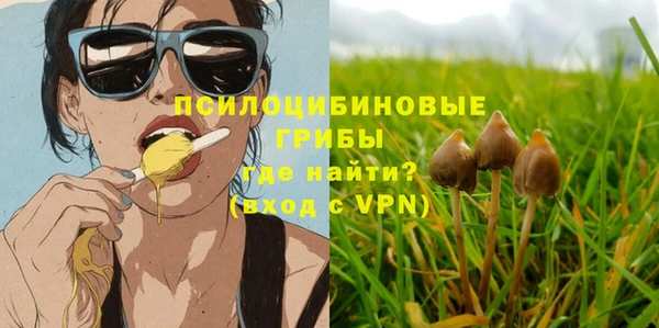 Альфа ПВП Вязники