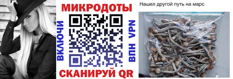 Купить  Нарьян-Мар  Псилоцибиновые грибы Psilocybine cubensis 